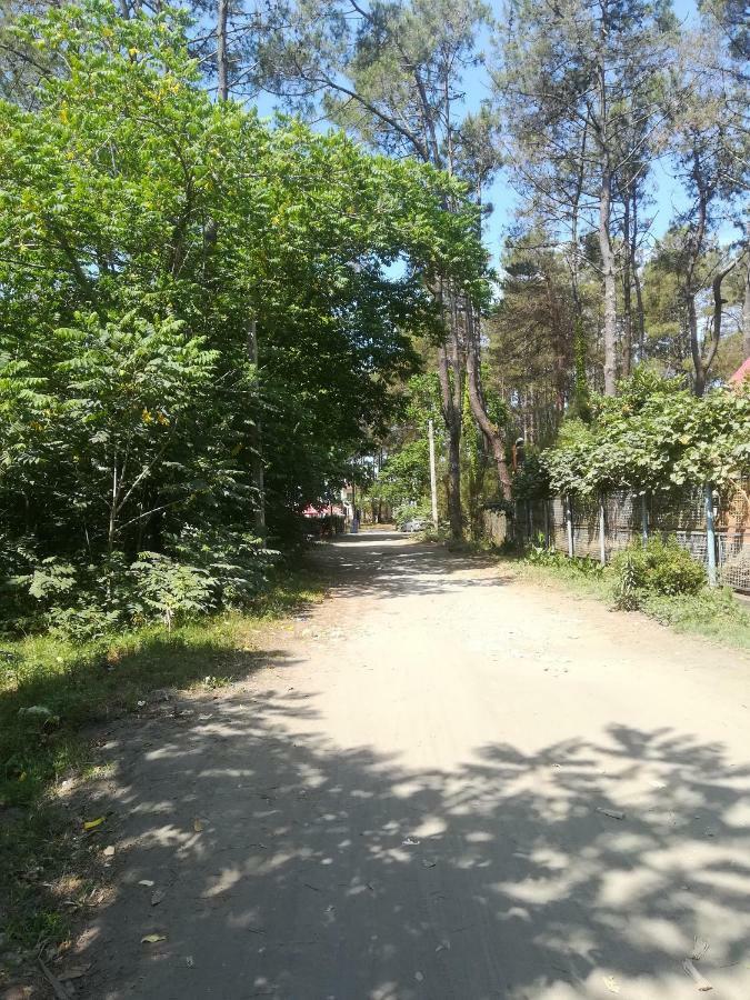 Shekvetili+ Shekhvetili Exterior foto